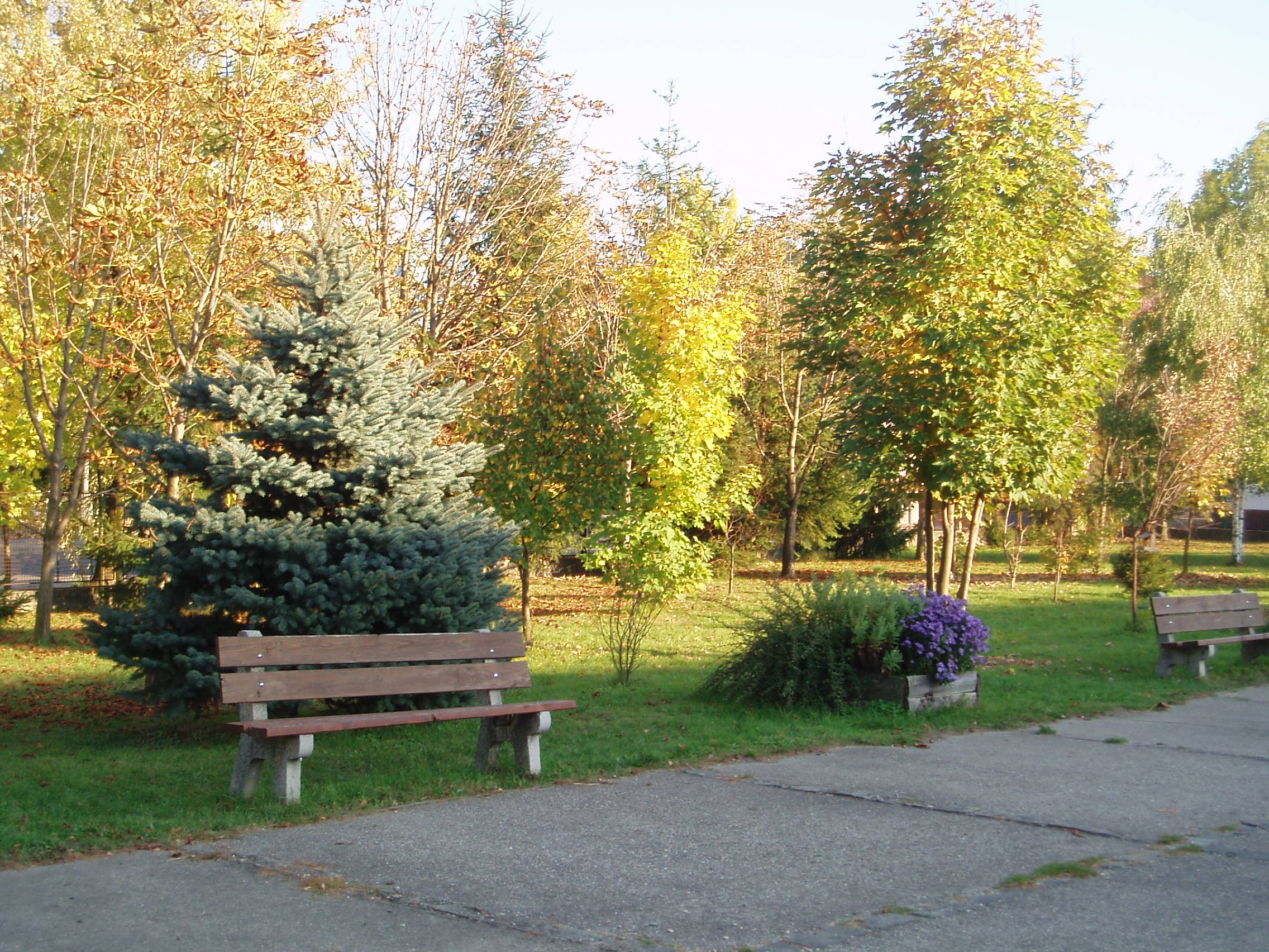 PA130012.JPG