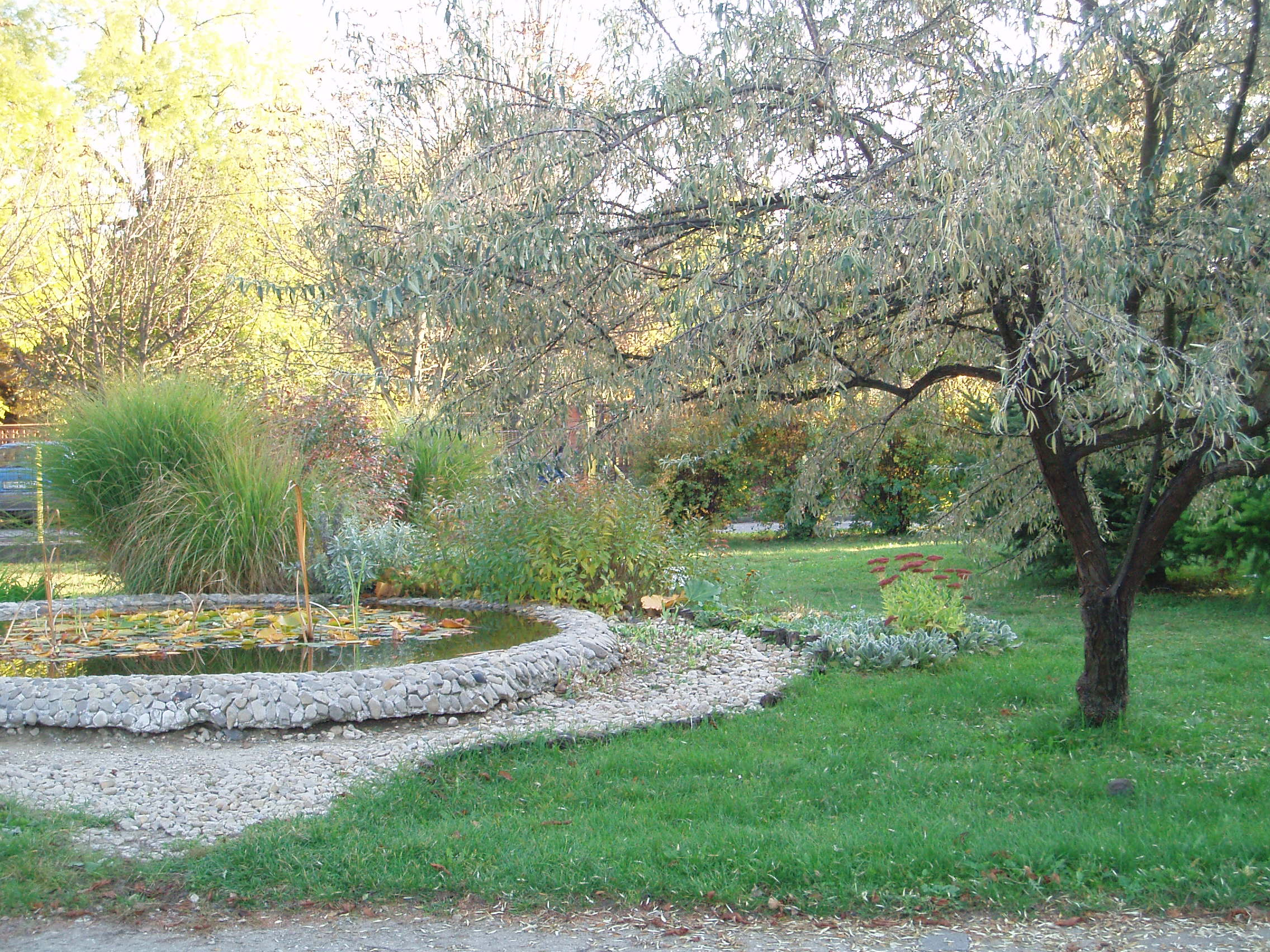 PA130013.JPG