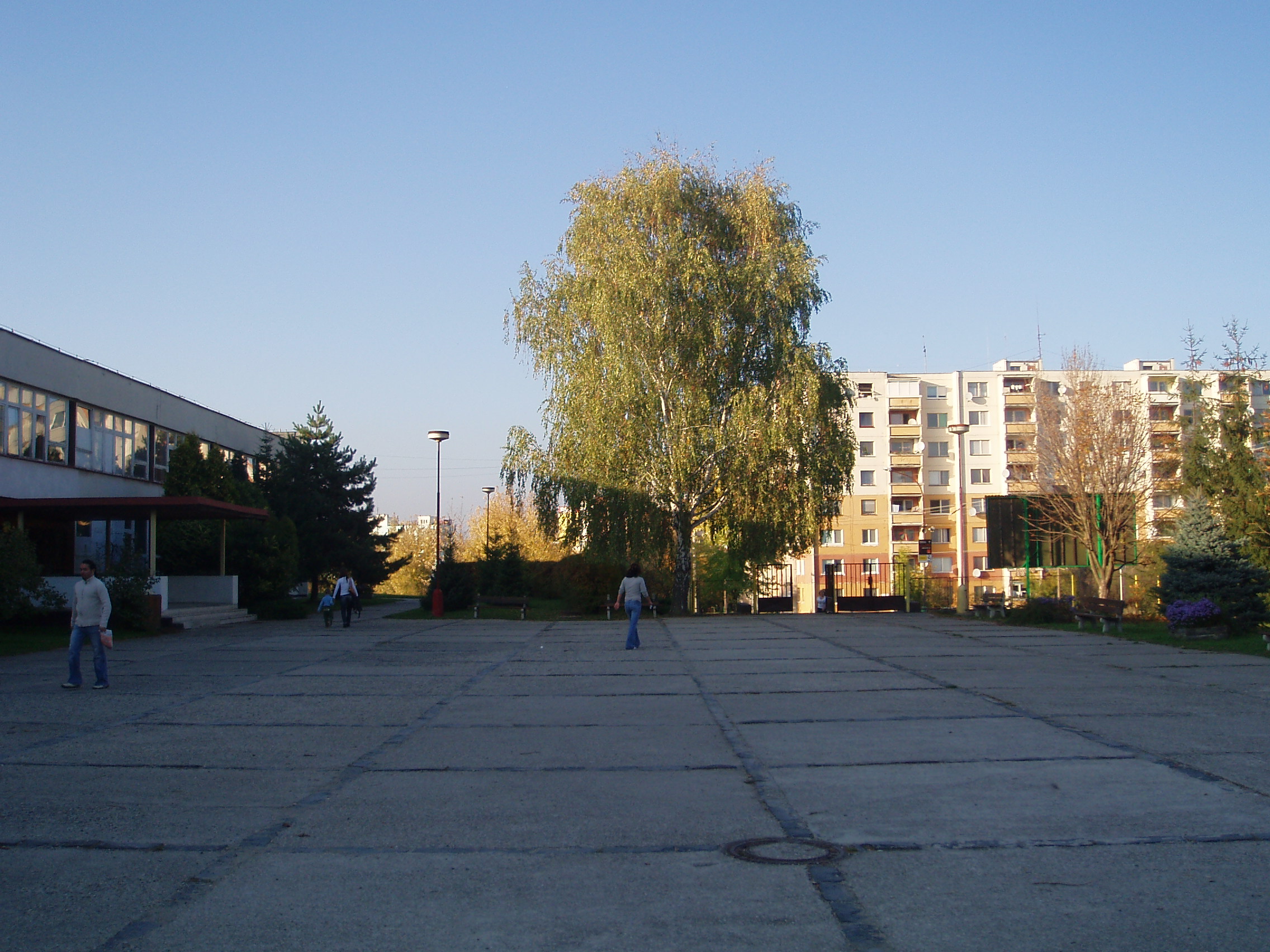 PA130018.JPG
